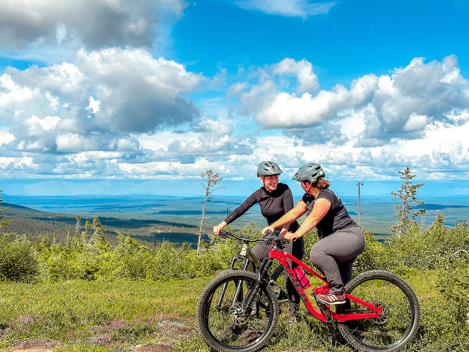 Downhill Downhill